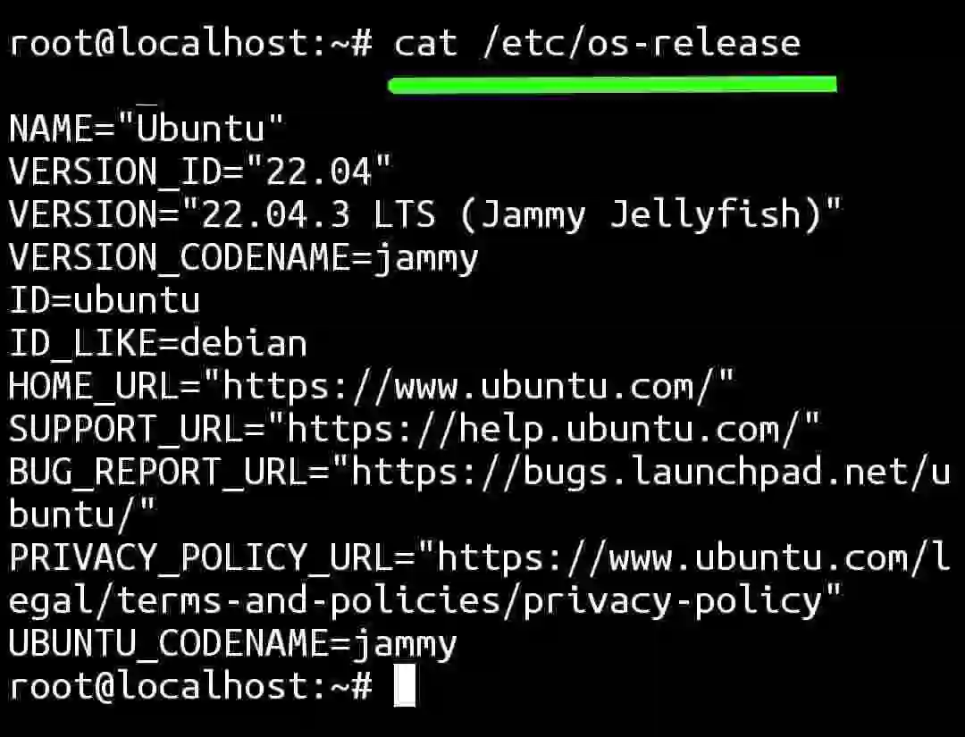 Version information Mfdgaming Ubuntu in Termux
