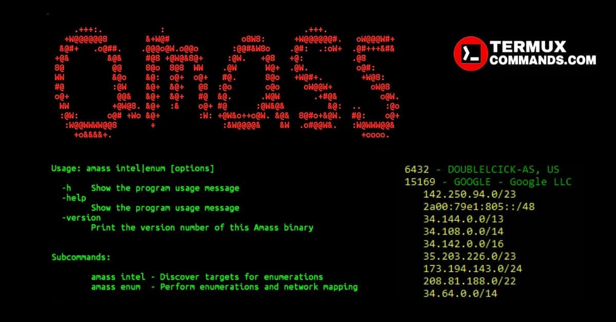Amass installation and usage commands