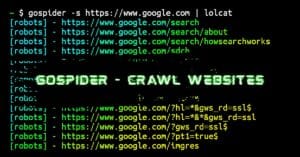 GoSpider installation and usage commands