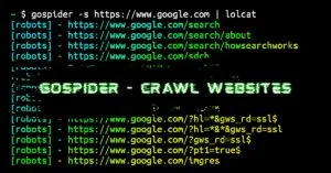 GoSpider installation and usage commands