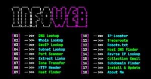 Infoweb tool website information gathering and Osint